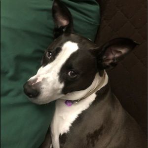 Meet your Posher, Aaron